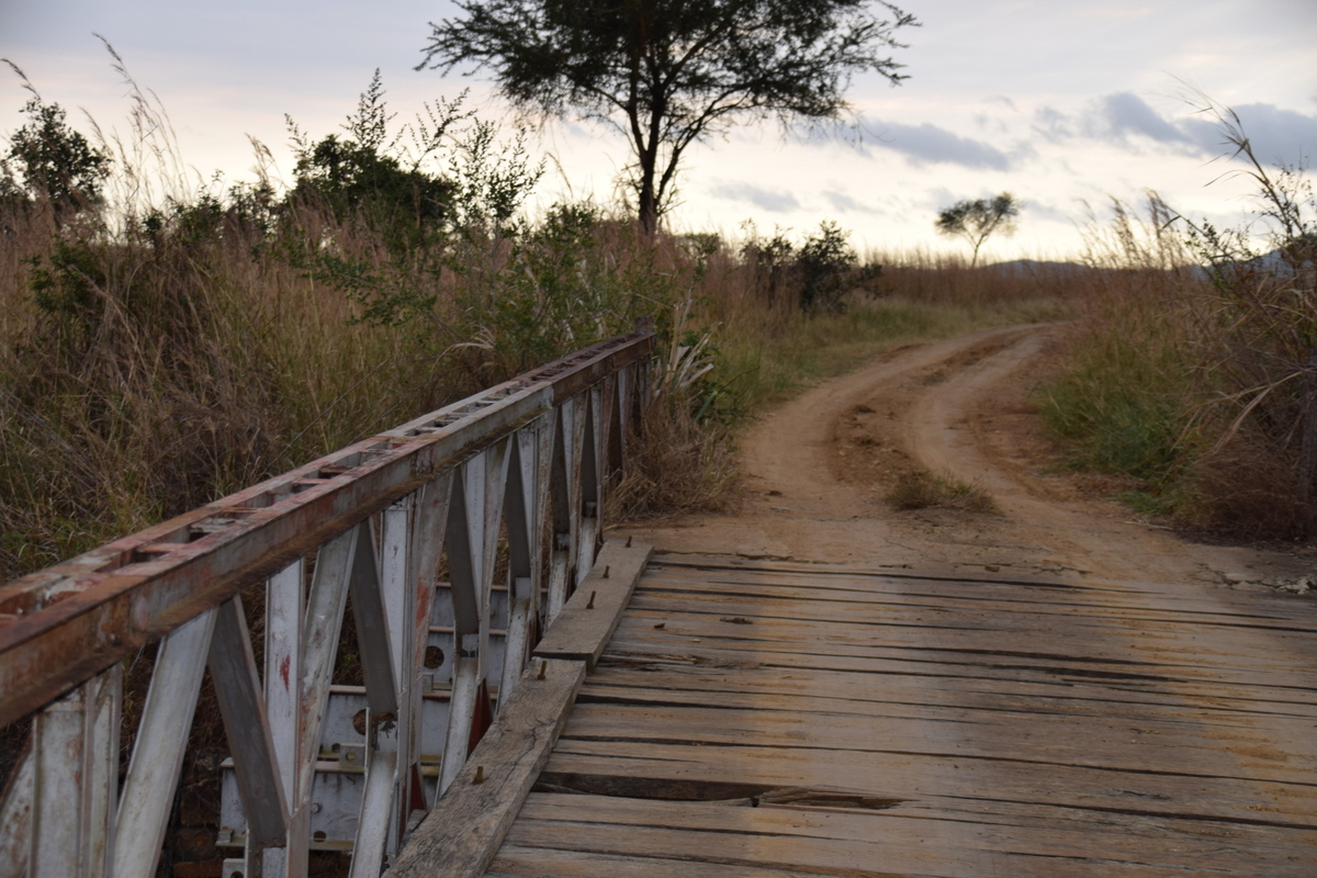 Bruecke_Nationalpark